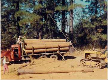 Adams family logging operation in Mosquito
