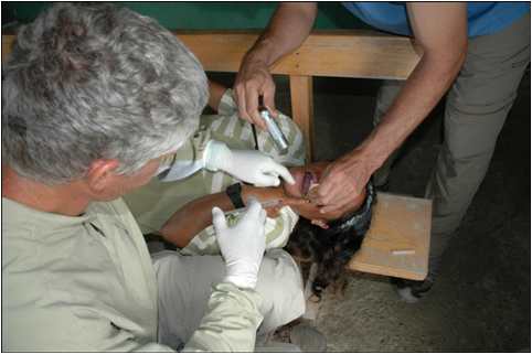 Mike Duehrssen extracts tooth from lady in Venezuela