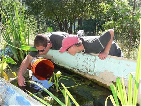 Daniel Adams & Andre Sage playing in boat pond