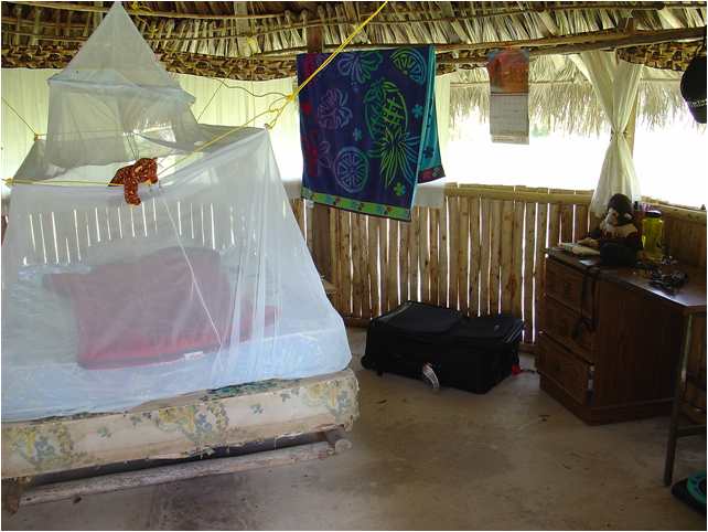 Corrie Sample's mattress & mosquito net in her Churuata