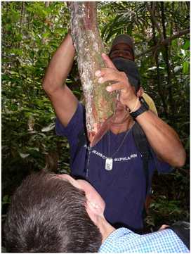 Brenty Hildebrand drinks from a jungle vine in Venezuela