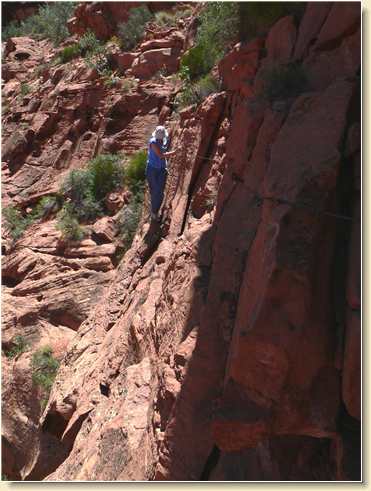 Diana Adams on Parriott cliff ledge