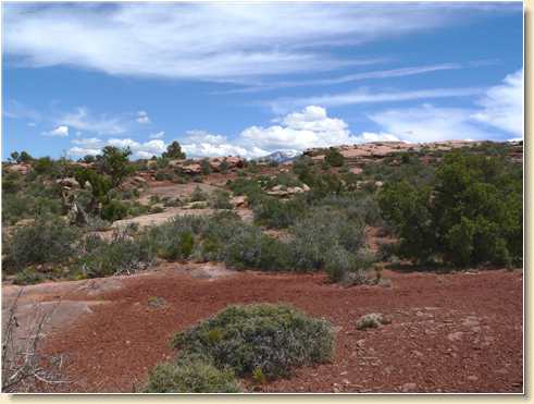 Top of Parriott Mesa