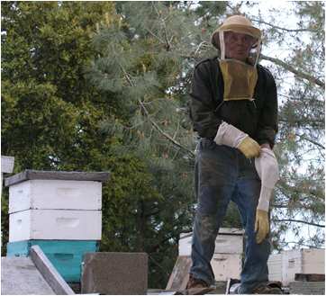 Celian Adams beekeeping