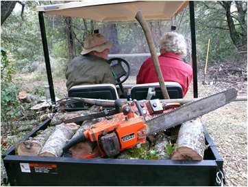 Club Car with firewood & chainsaw